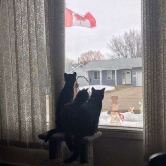 Meet your Posher, Lisa - Picture 1 of 2